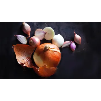 Onion (38)-7372692-10542.webp